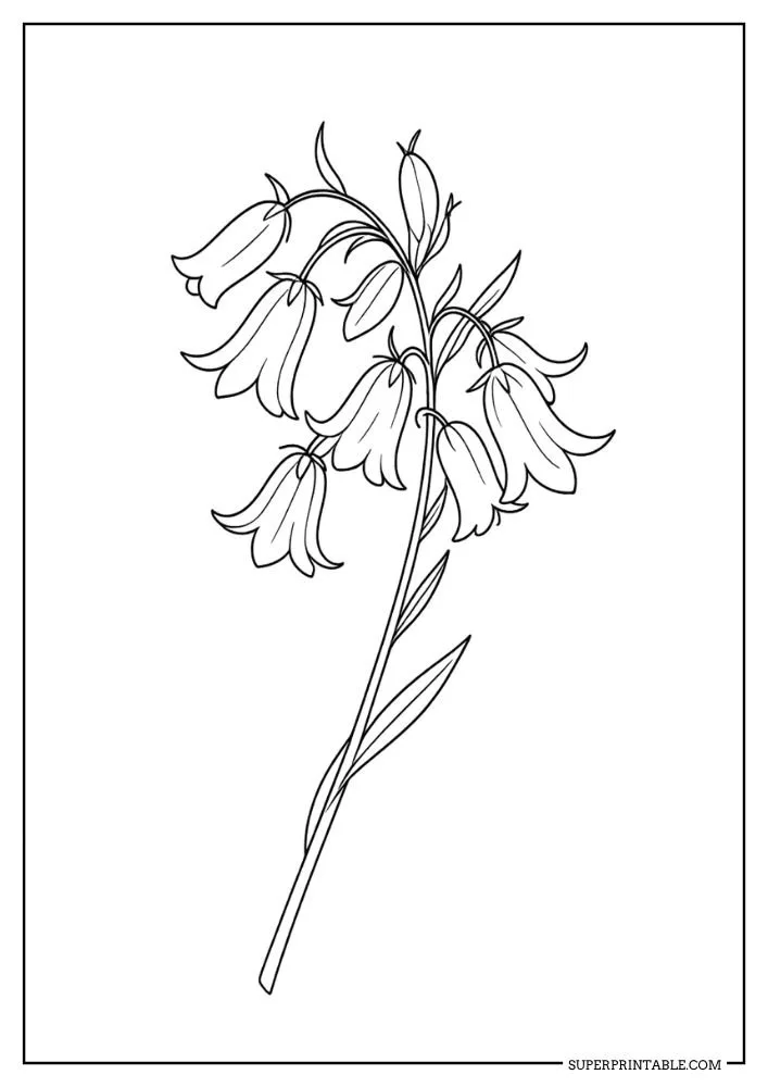 Spring Garden Escape Coloring Pages 6