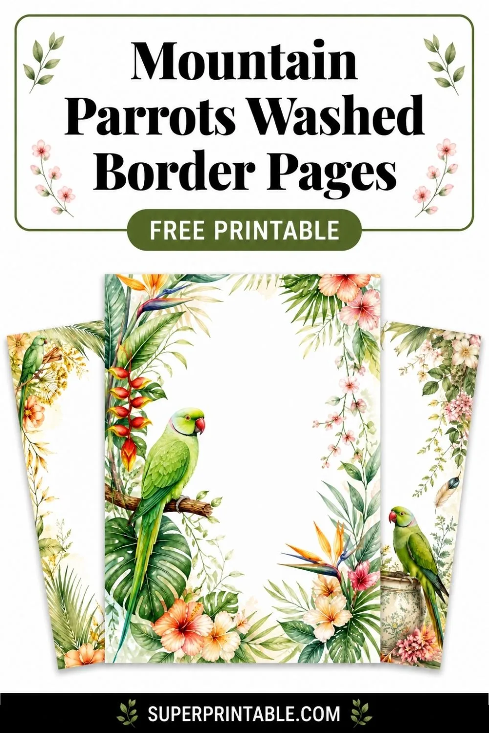 12+ Mountain Parrots Washed Border Pages Pinterest Image