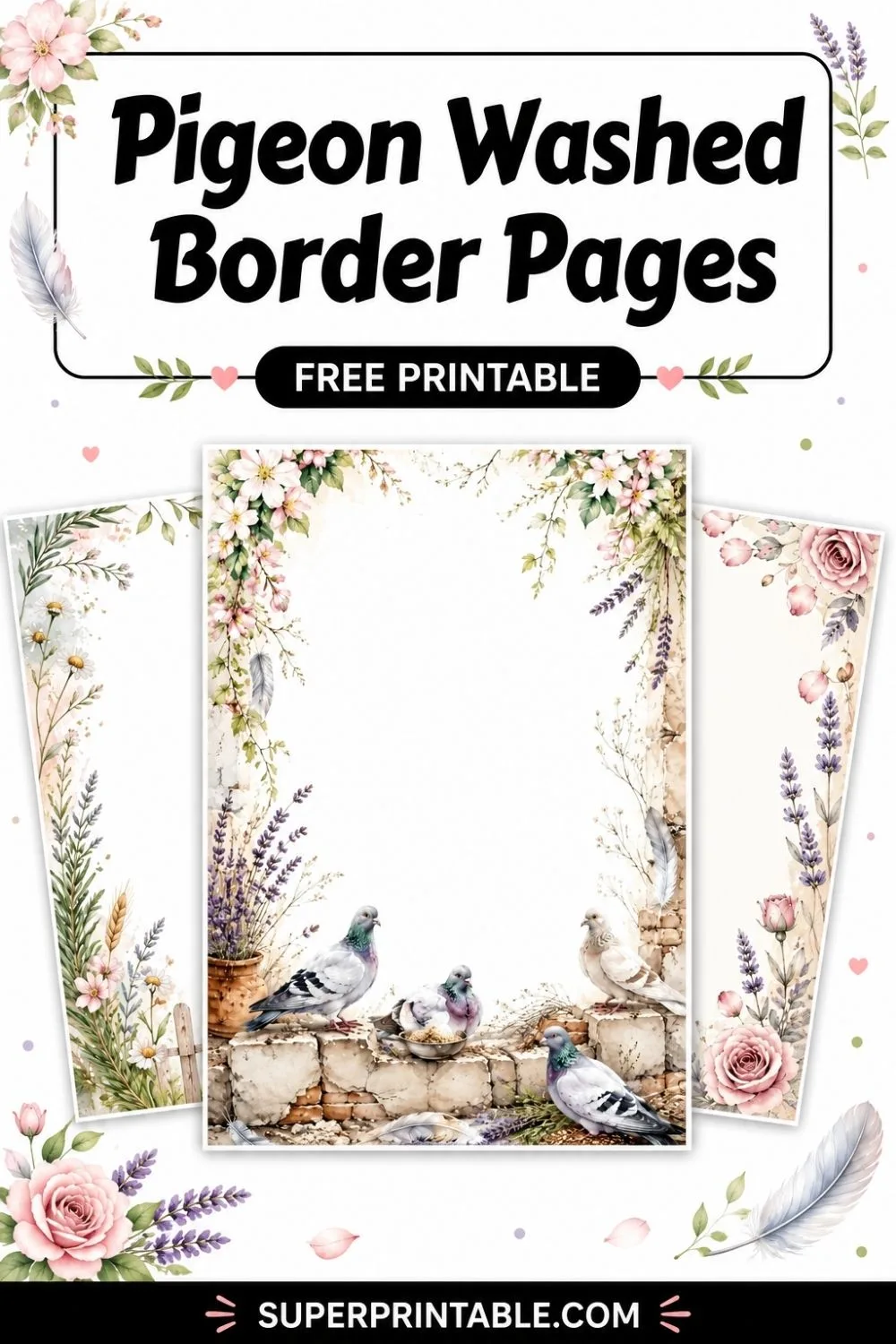 12+ Pigeon Washed Border Pages Pinterest Image