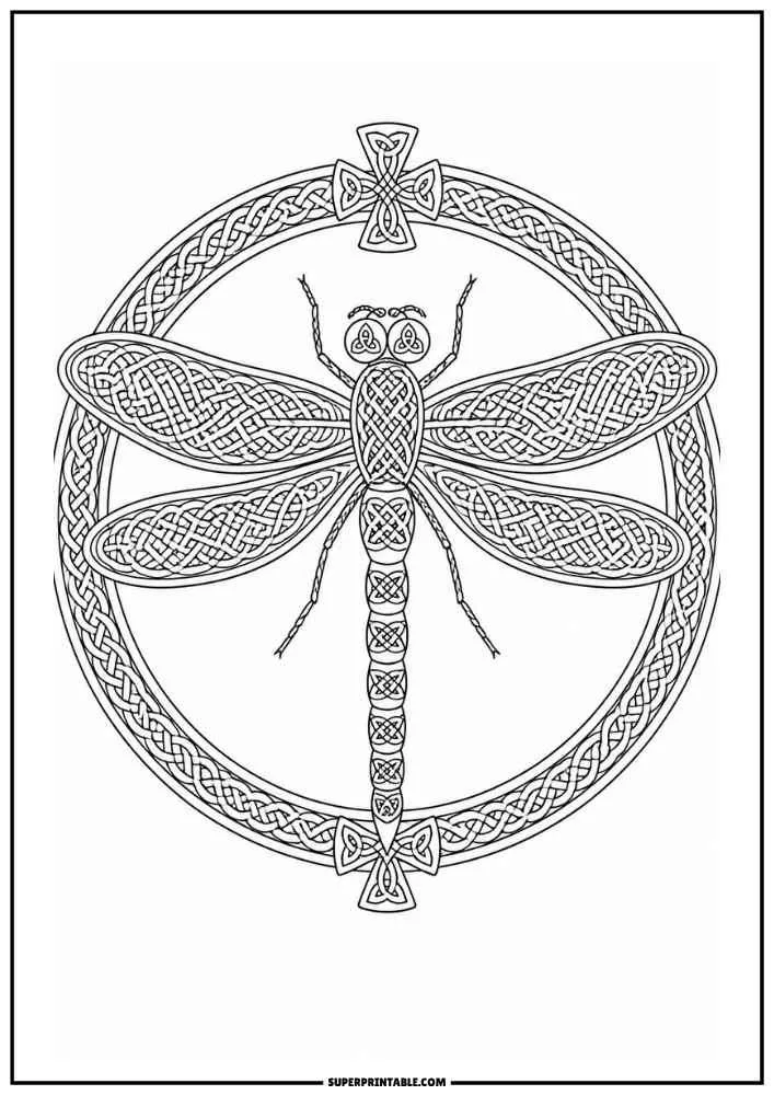 Dragonfly with detailed nature scenes inside its wings featuring animals, fish, and plants.