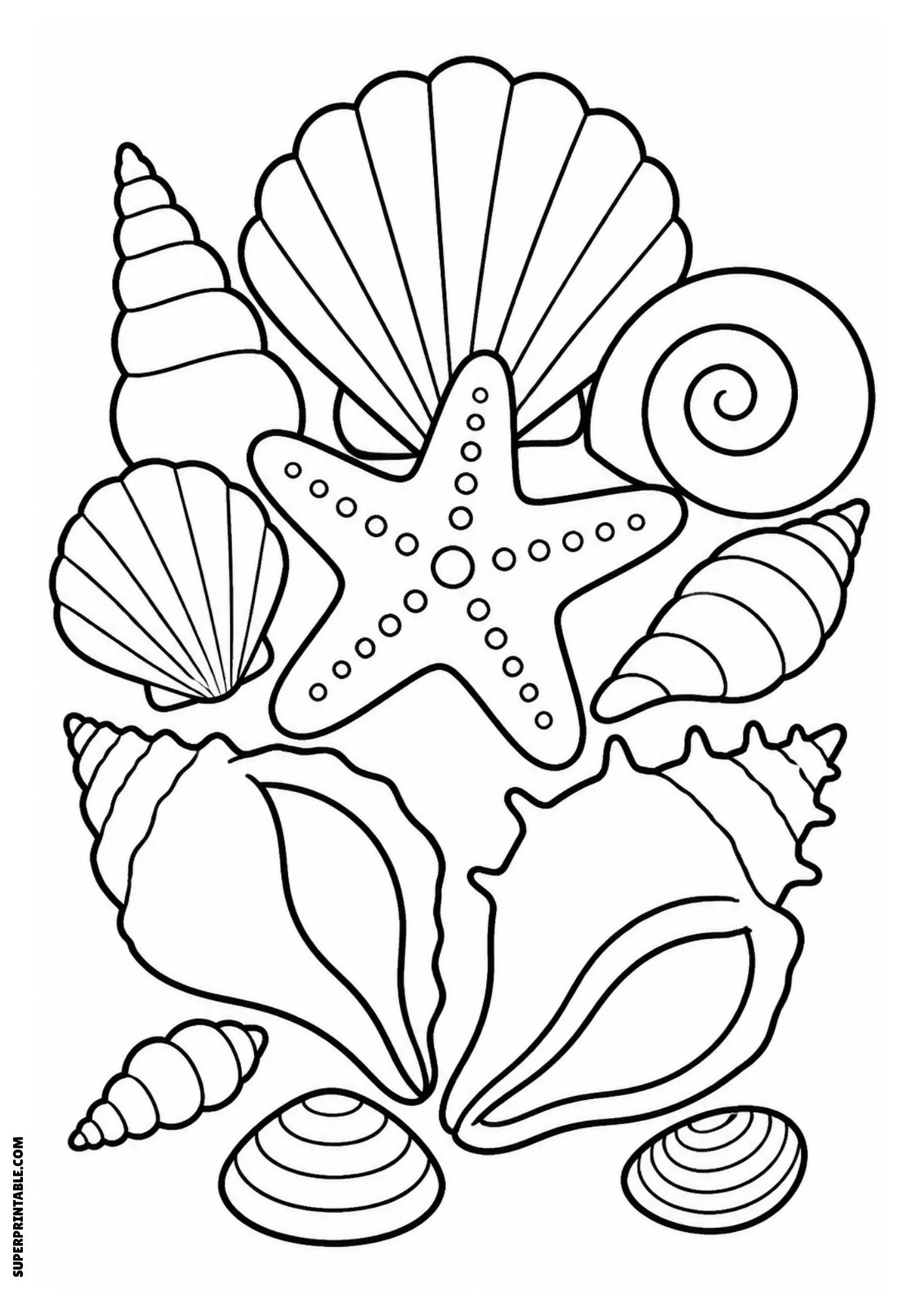 Collection of seashells and a starfish arranged together.
