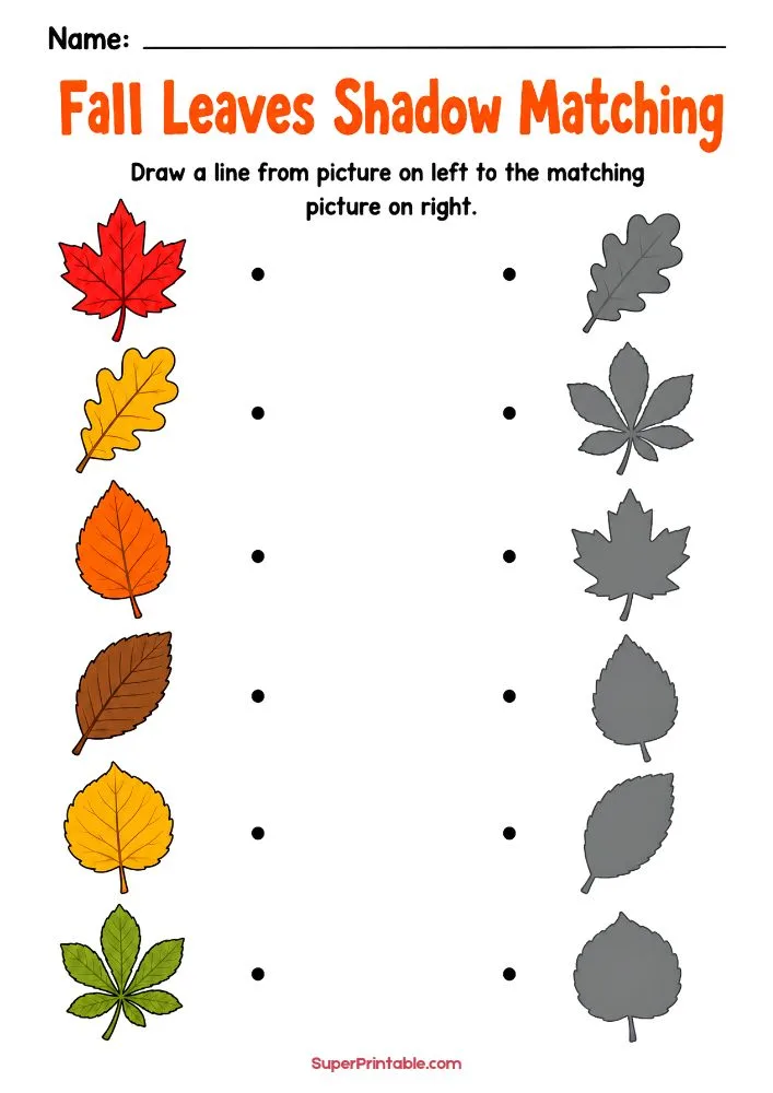 A worksheet titled "Fall Leaves Shadow Matching" with six colorful autumn leaves on the left and six gray leaf shadows on the right. Children draw lines to connect each leaf to its matching shadow.