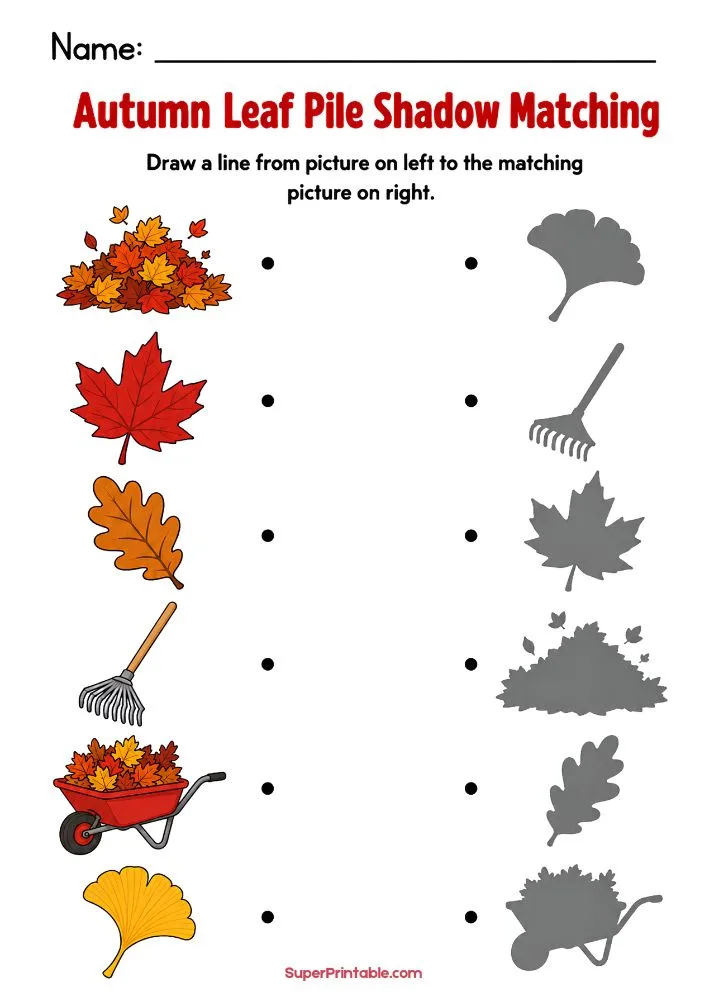 A worksheet titled "Autumn Leaf Pile Shadow Matching" featuring a leaf pile, maple leaf, oak leaf, rake, wheelbarrow of leaves, and ginkgo leaf on the left with matching gray shadows on the right.