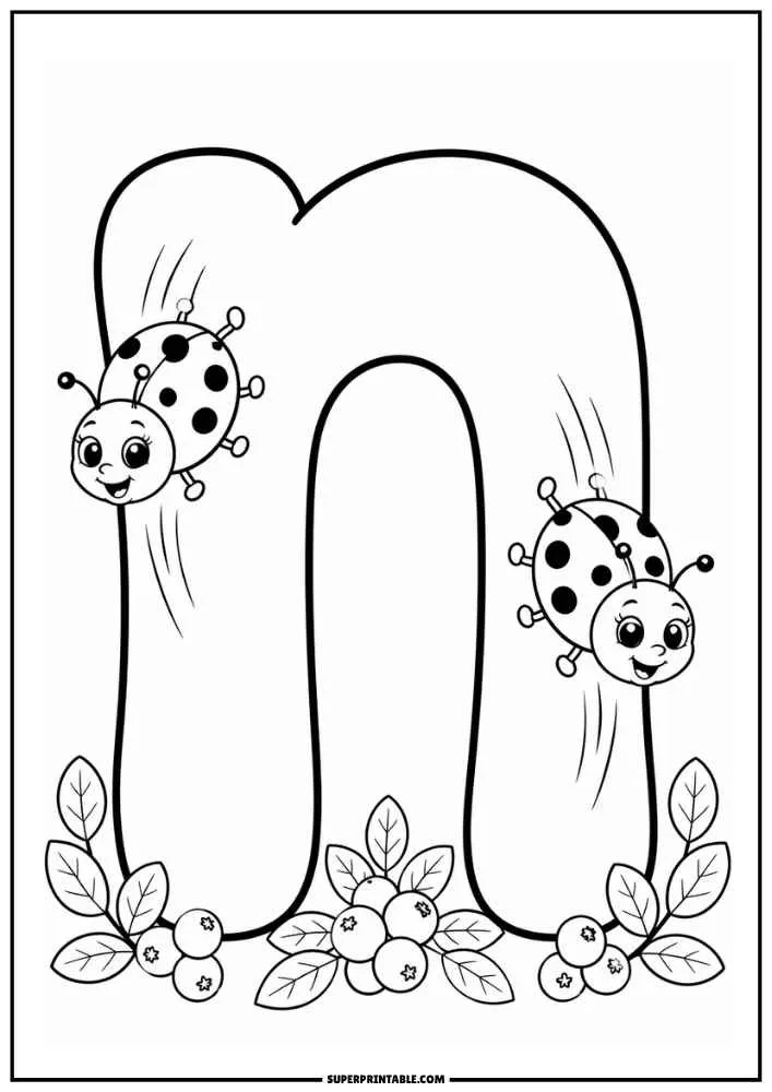 Lowercase letter n with two ladybugs, berries, and leafy branches.