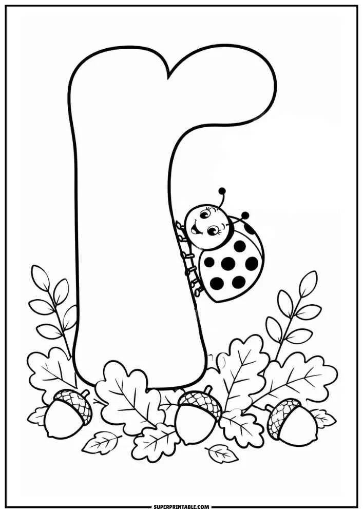 Lowercase letter r with a ladybug, acorns, and autumn leaves.