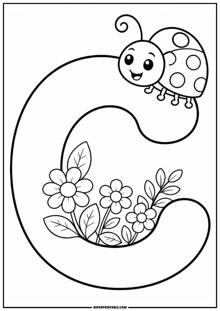 Lowercase letter c with a ladybug, flowers, leaves, and garden details.