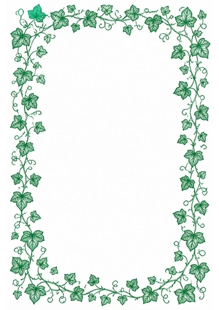 Decorative ivy vine border with detailed leaves and curling tendrils.