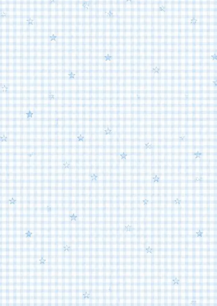 Blue gingham pattern with small watercolor stars.