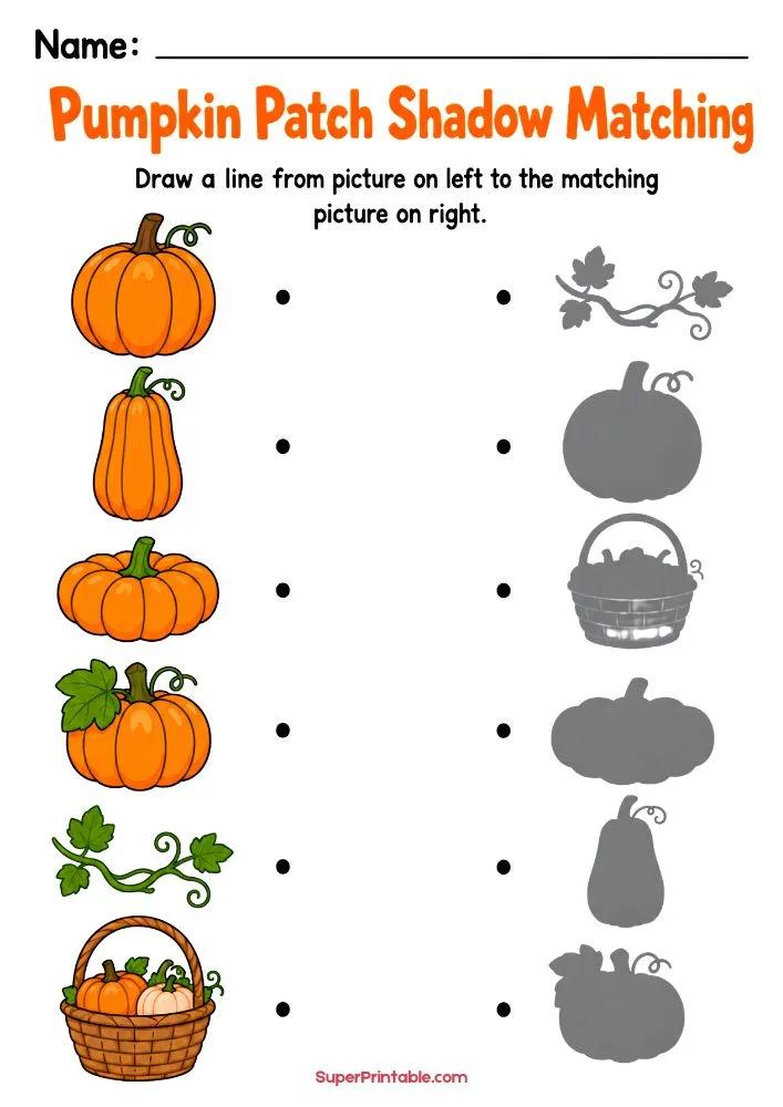 Pumpkin patch shadow matching activity featuring pumpkins, vines, and harvest baskets for preschool and kindergarten learners.