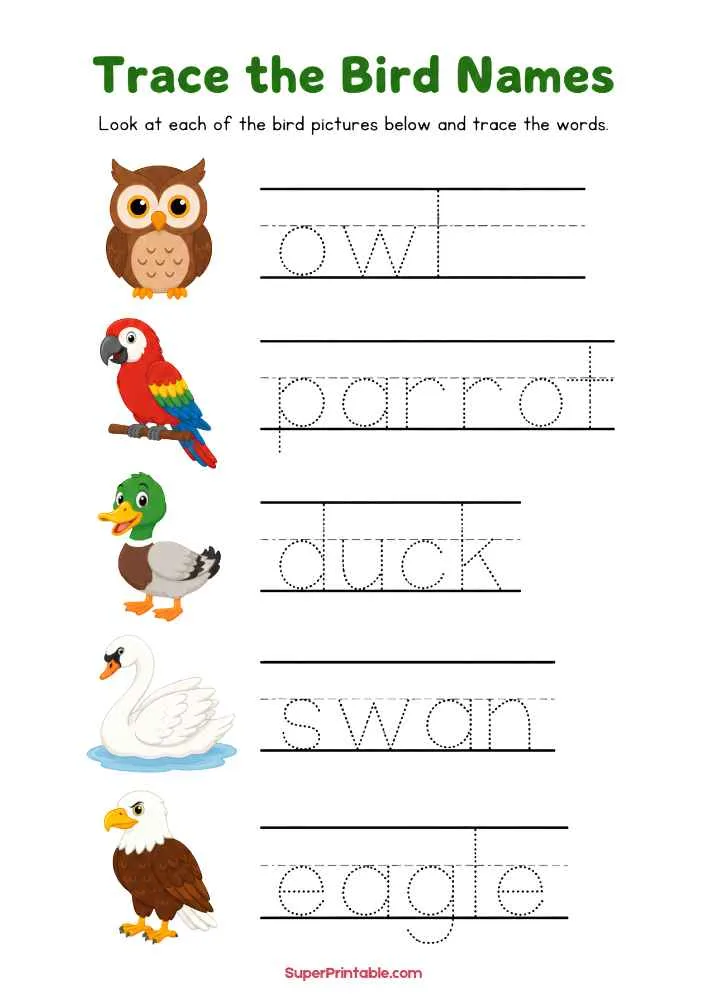 Bird name tracing worksheet with owl, parrot, duck, swan, and eagle and dotted words to trace.