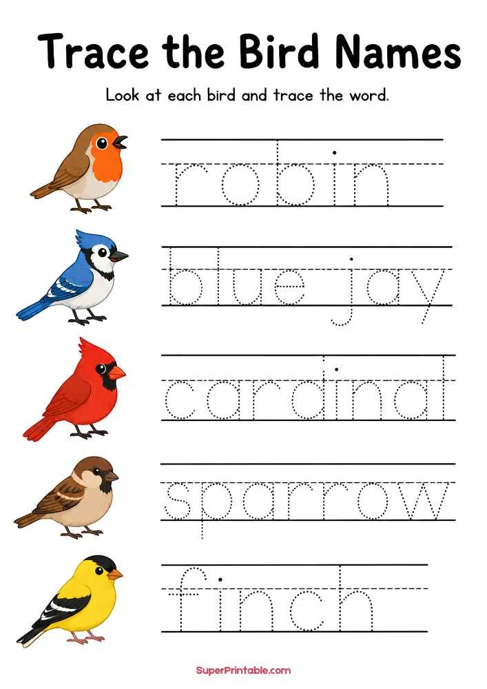 Bird name tracing worksheet with robin, blue jay, cardinal, sparrow, and finch and dotted tracing words.