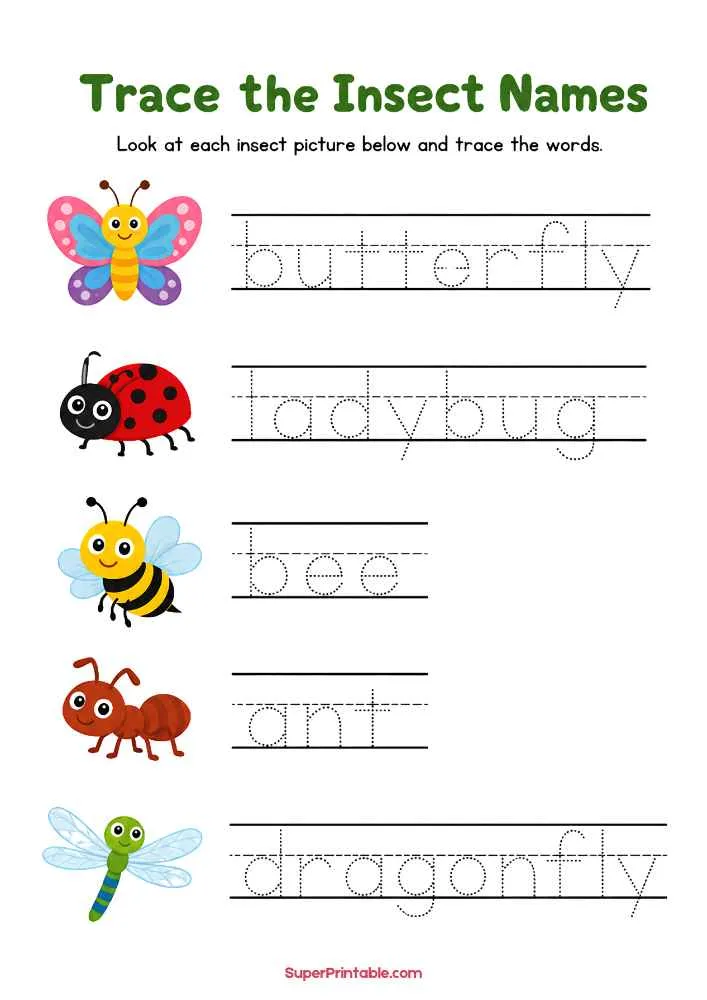 Worksheet titled "Trace the Insect Names" with butterfly, ladybug, bee, ant, and dragonfly tracing words.