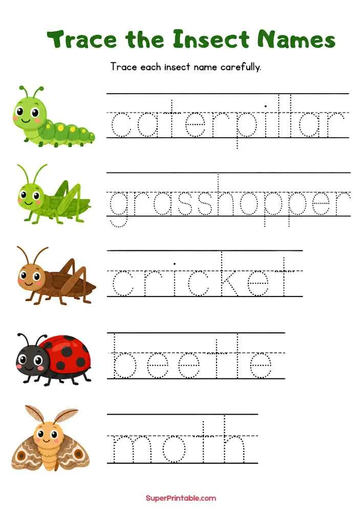 Worksheet with caterpillar, grasshopper, cricket, beetle, and moth plus tracing words.