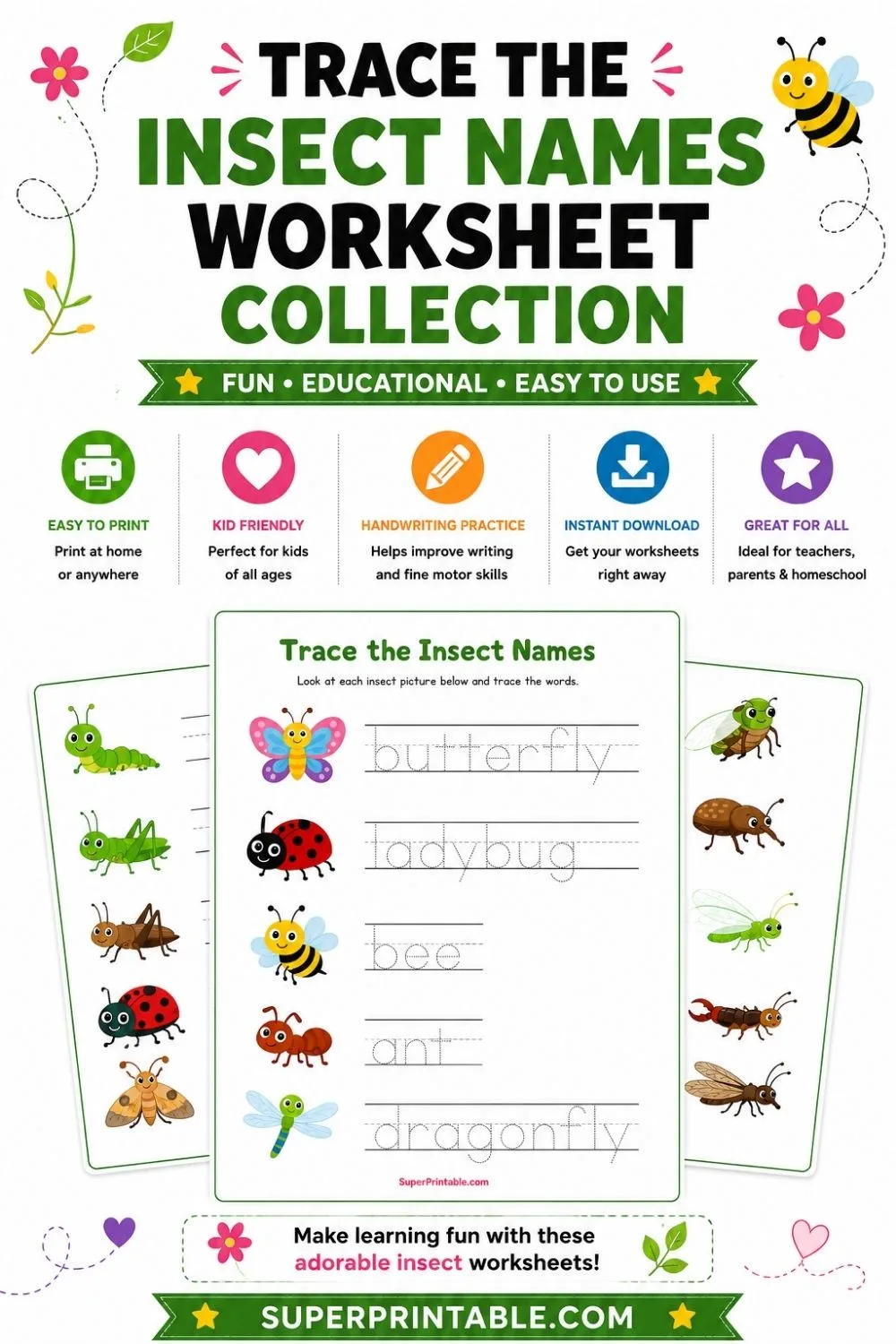Trace the Insect Names Worksheet Pinterest Image