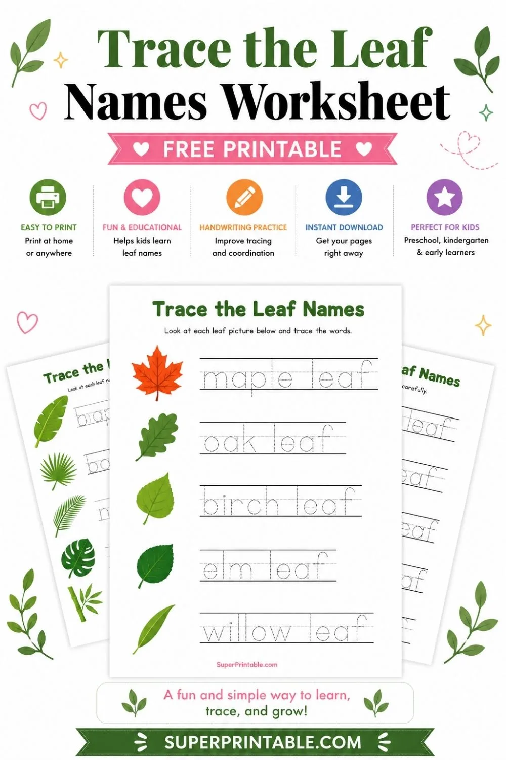 Trace the Leaf Names Worksheet Pinterest Image