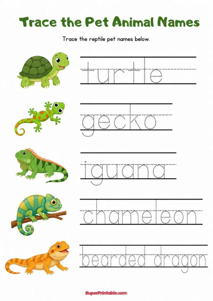 Reptile pet tracing worksheet with turtle, gecko, iguana, chameleon, and bearded dragon.