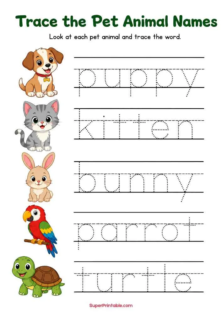Pet animal tracing worksheet with puppy, kitten, bunny, parrot, turtle, and dotted words to trace.
