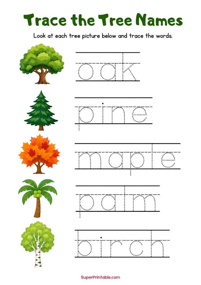 Tree tracing worksheet with oak, pine, maple, palm, and birch pictures and dotted word lines.
