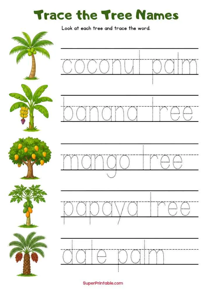 Tree tracing worksheet with coconut palm, banana tree, mango tree, papaya tree, and date palm.