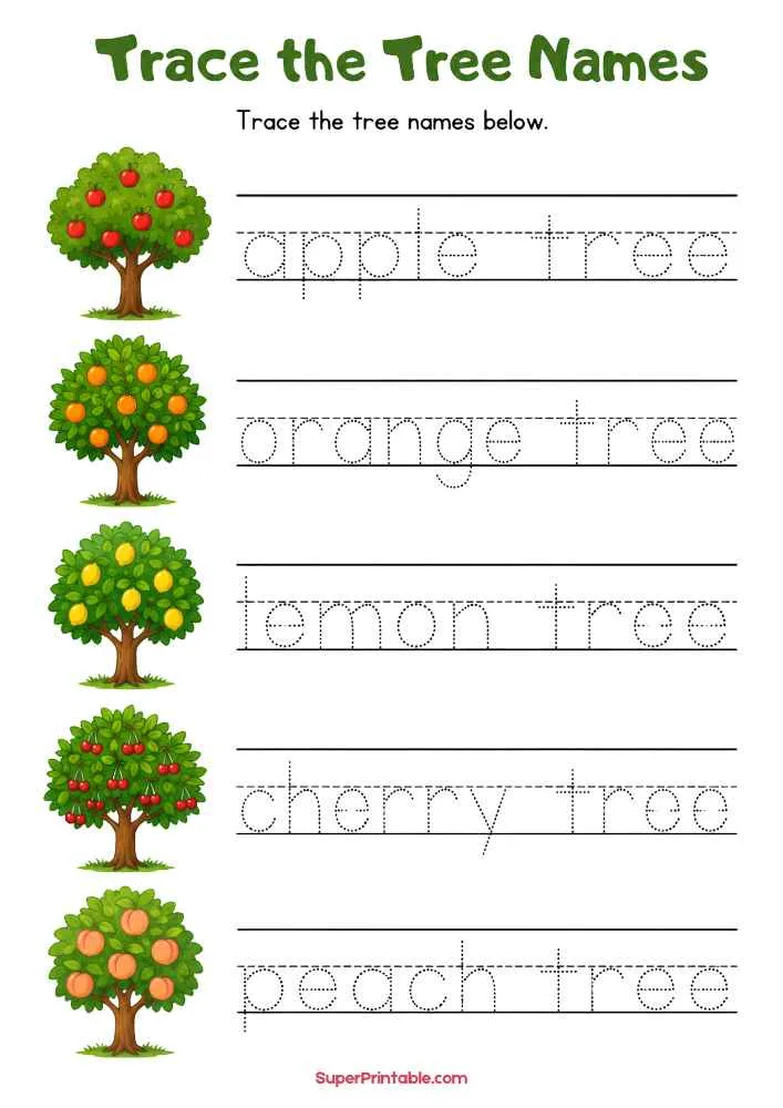 Tree tracing worksheet with apple, orange, lemon, cherry, and peach tree illustrations with dotted words.