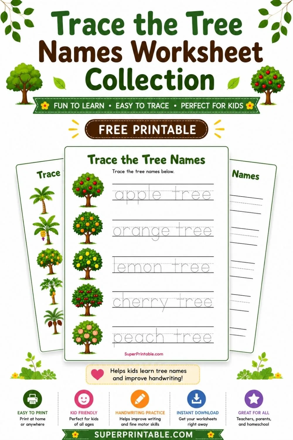 Trace the Tree Names Worksheet Pinterest Image