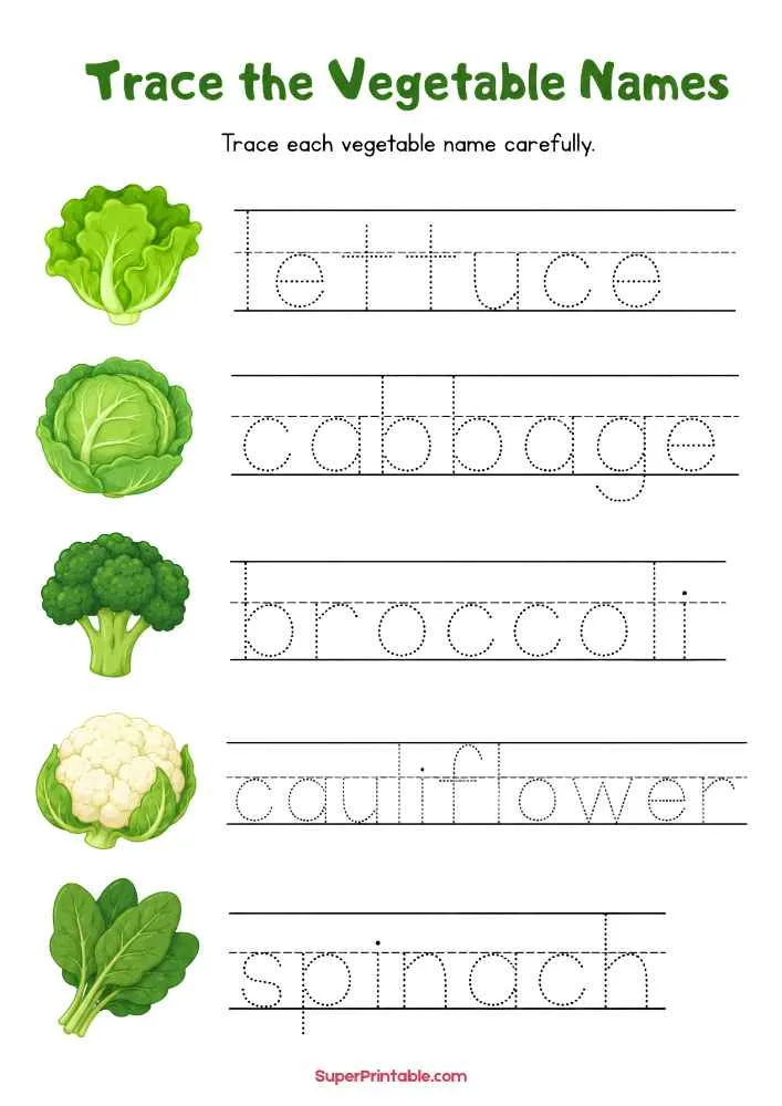 Vegetable tracing worksheet with lettuce, cabbage, broccoli, cauliflower, and spinach.