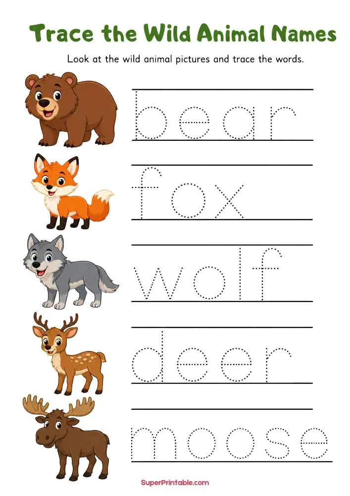 Wild animal tracing worksheet with bear, fox, wolf, deer, moose, and dotted tracing words.