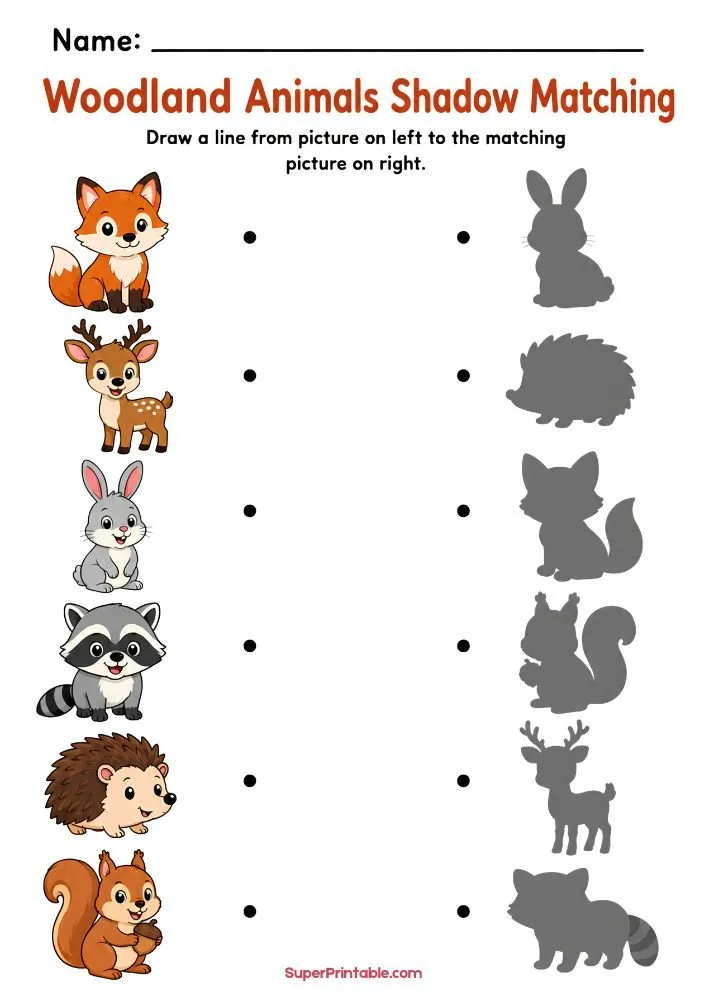 A woodland animals shadow matching worksheet featuring a fox, deer, rabbit, raccoon, hedgehog, and squirrel with matching shadow silhouettes.
