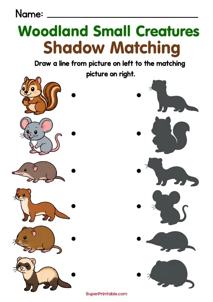 A woodland shadow matching worksheet featuring a chipmunk, mouse, shrew, weasel, vole, and ferret matched to their shadow outlines.