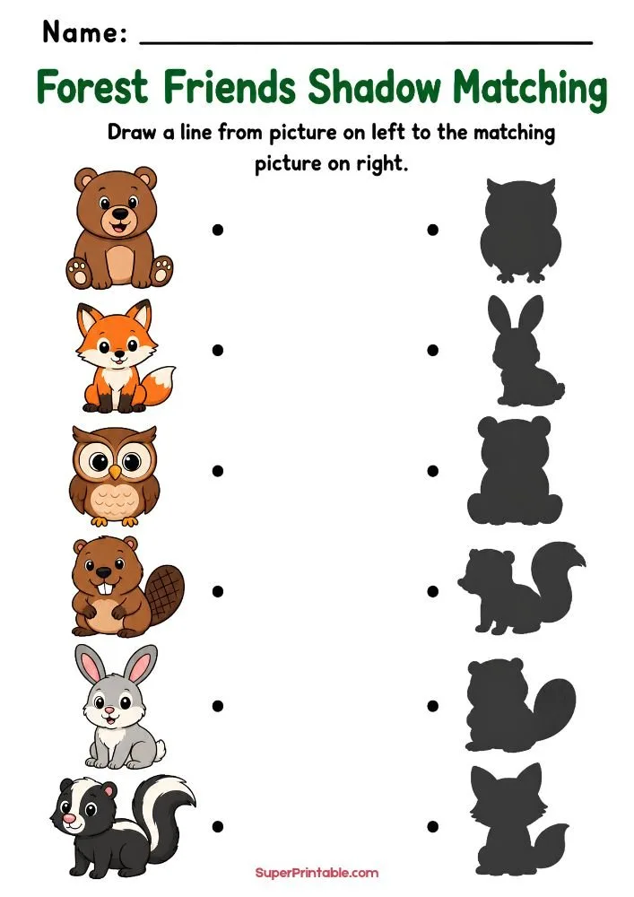 A forest animal shadow matching worksheet featuring a bear, fox, owl, beaver, rabbit, and skunk matched to corresponding shadow silhouettes.