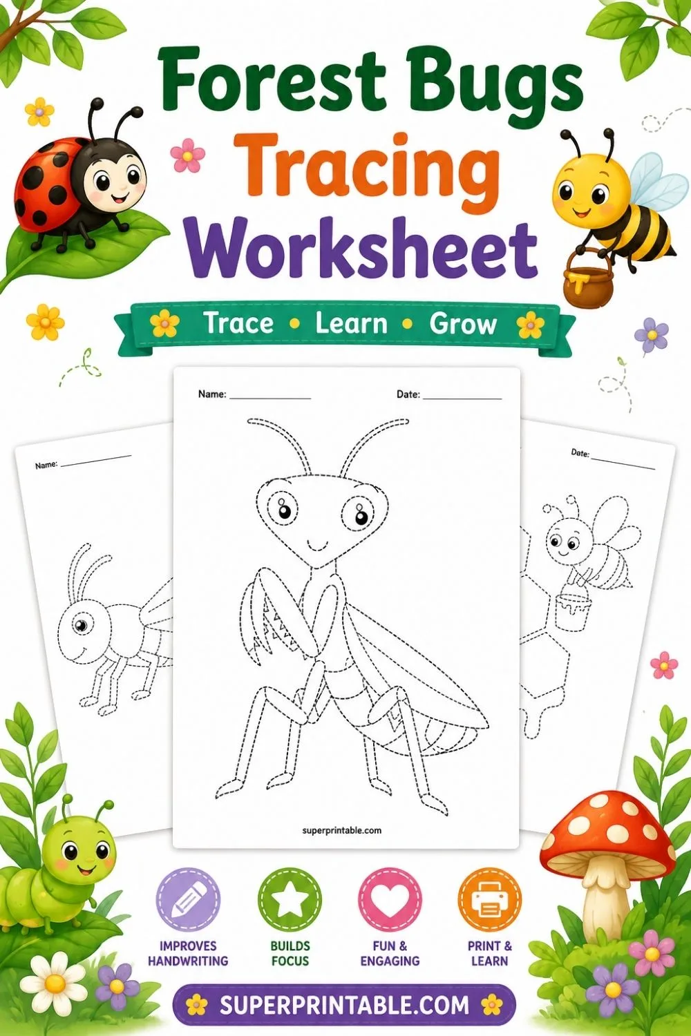20 Forest Bugs Tracing Worksheet Pinterest Image