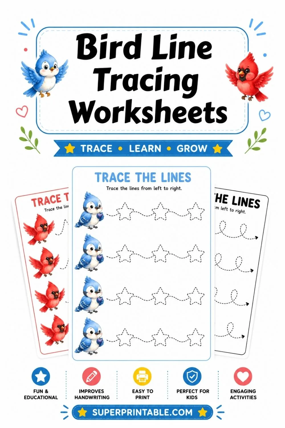 25 Bird Line Tracing Worksheets Pinterest Image