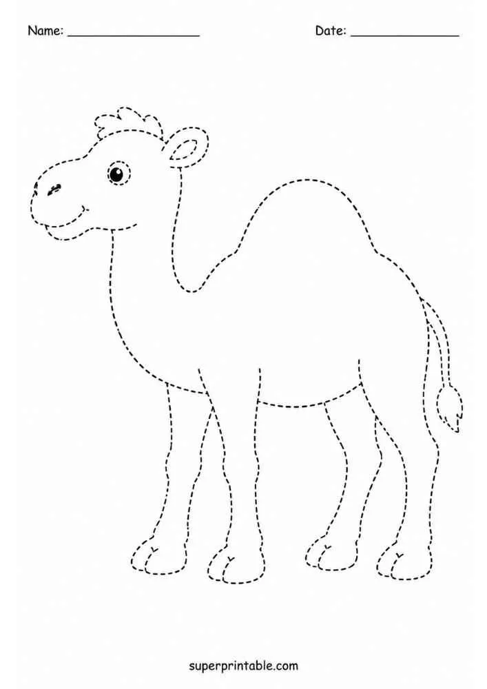 Dashed outline tracing worksheet featuring a camel.