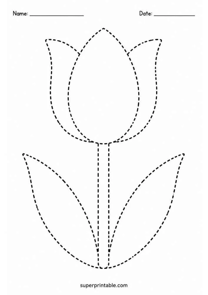 Dashed outline tracing worksheet featuring a tulip flower.