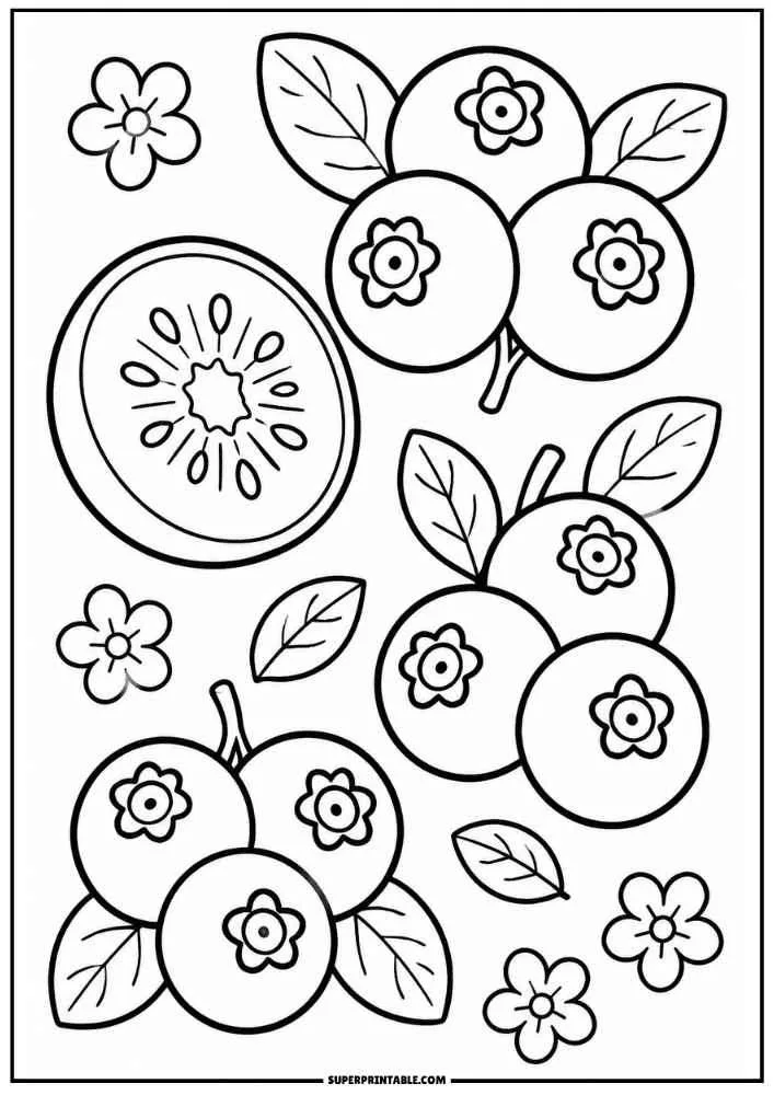 Blueberry plant with leaves, berries, and flowers coloring page.