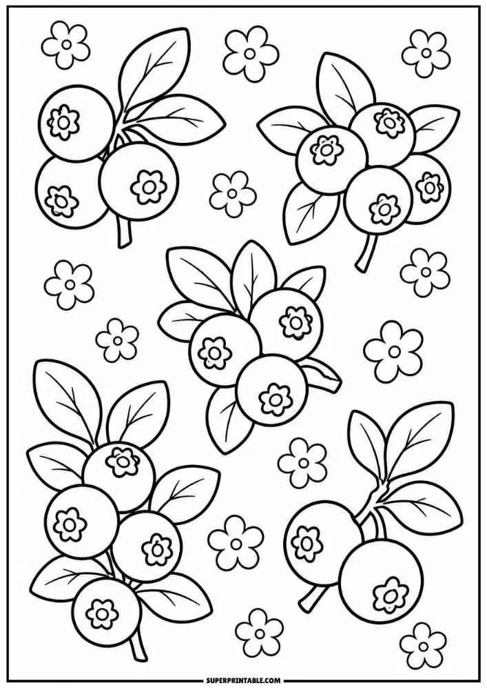 Blueberry clusters with leaves and flowers coloring page.