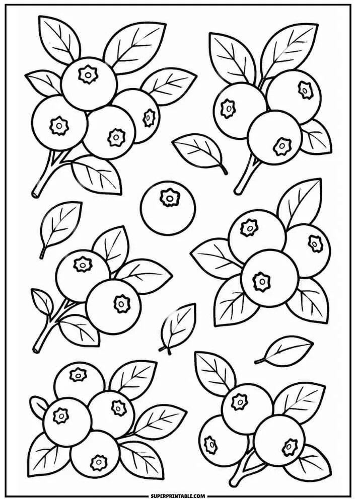 Blueberry branches, berries, and leaves coloring page.