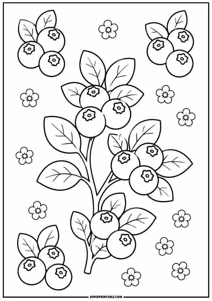 Scattered blueberries and leaves black-and-white coloring page.