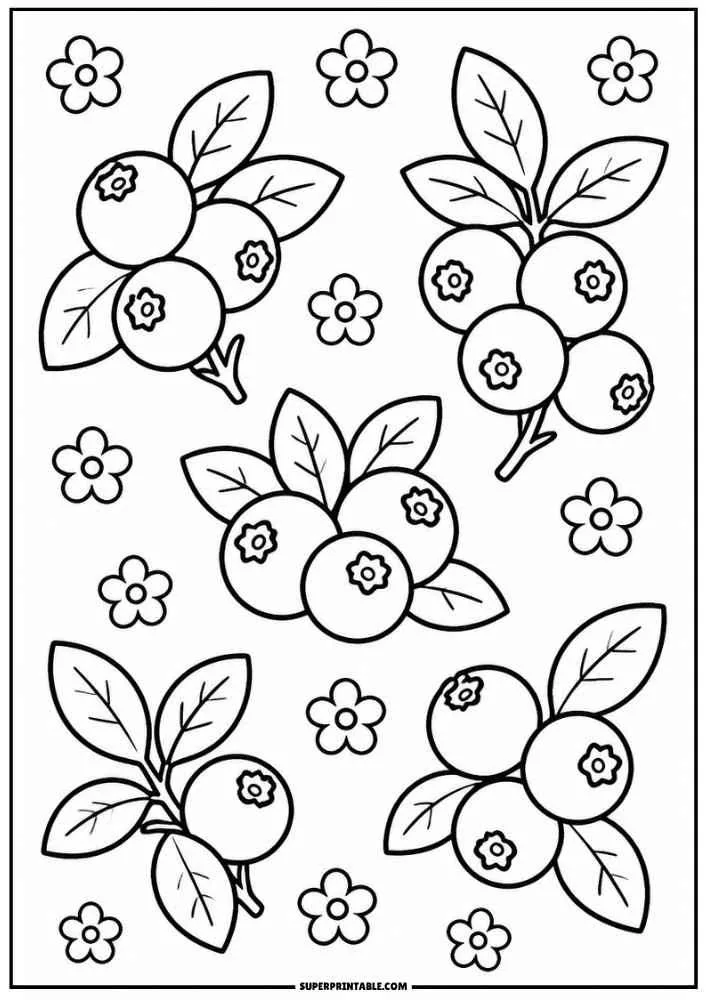 Blueberry clusters with leaves and flowers on a coloring page.