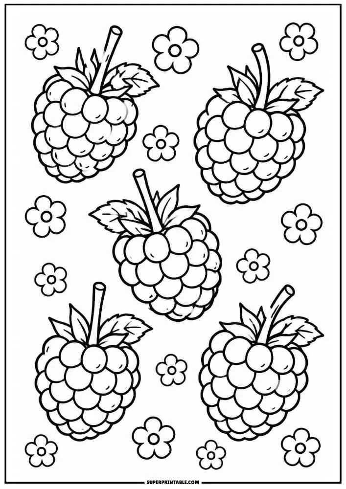 Five raspberries with flowers on a coloring page.