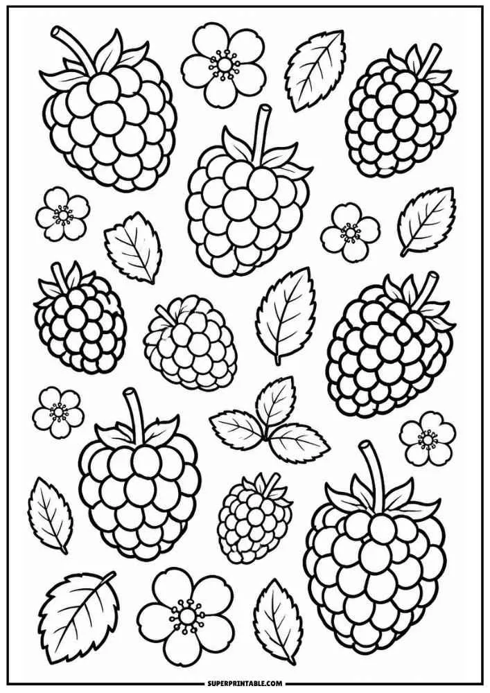 Raspberries, leaves, and flowers on a black and white page.