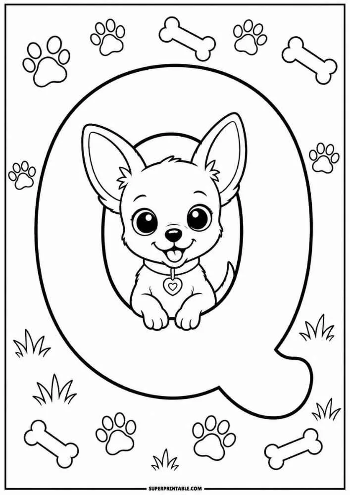 Lowercase letter q with a Chihuahua, paw prints, and bones.
