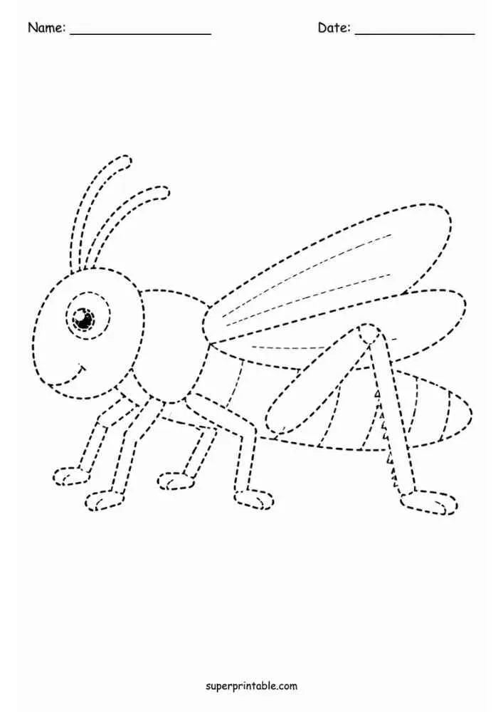 Dashed outline of a grasshopper with long legs and wings.