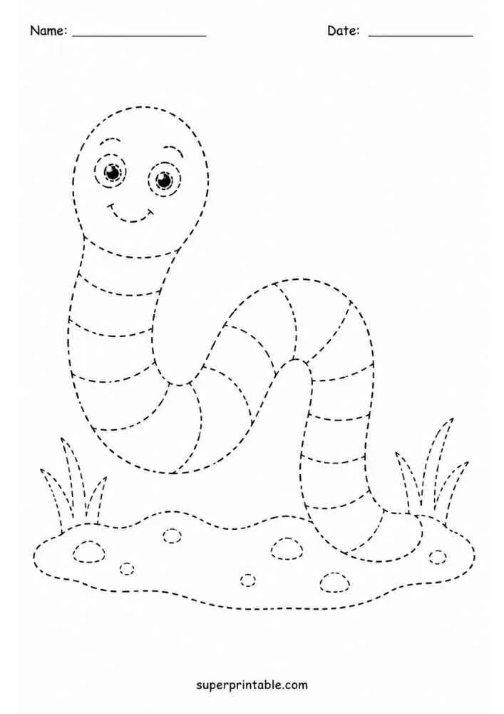 Dashed outline of an earthworm in the ground with grass.