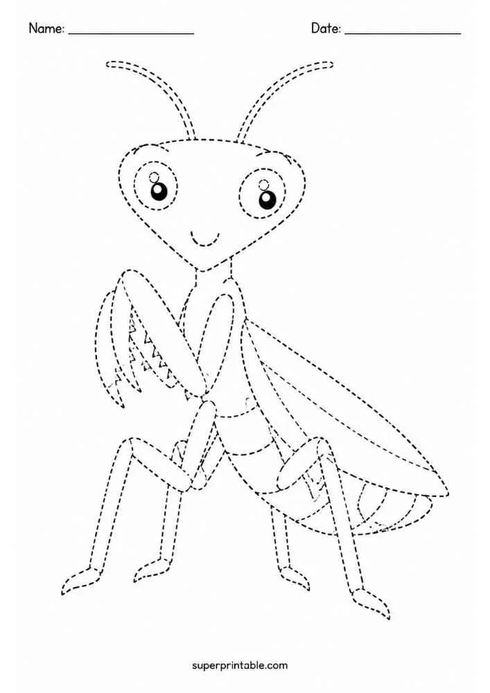 Dashed outline of a praying mantis with folded front legs.