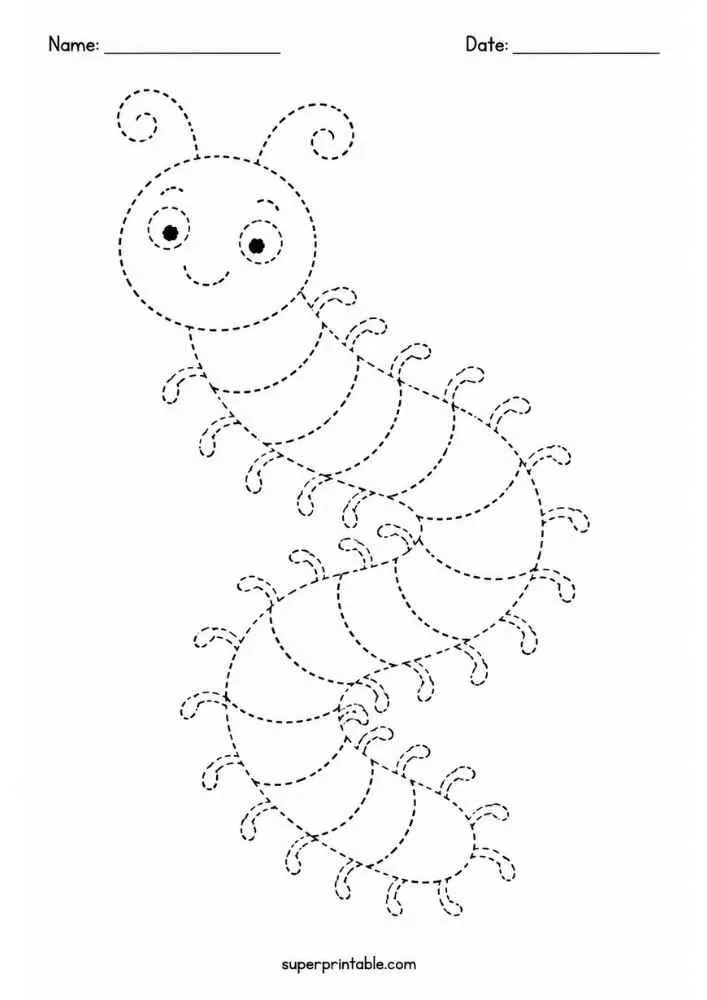 Dashed outline of a curled millipede with many legs.