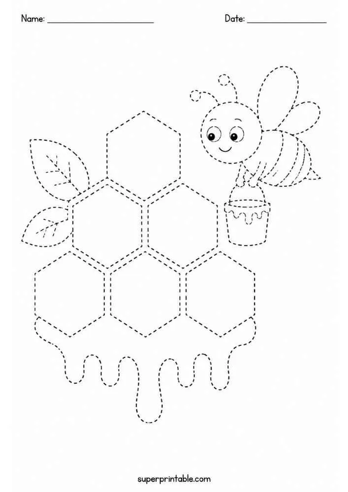 Dashed outline of a honeycomb, bee, honey pot, and leaves with Name and Date lines.