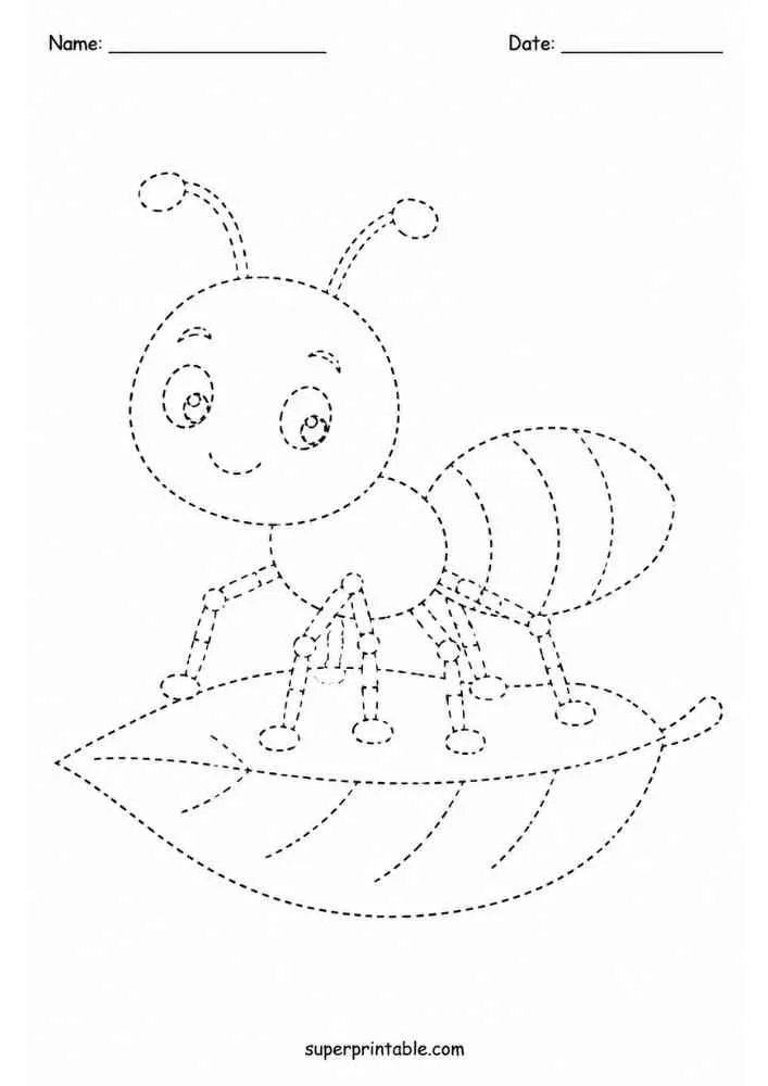 Dashed outline of an ant standing on a leaf with Name and Date lines.