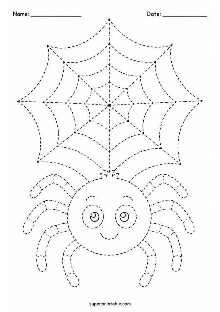 Dashed outline of a spider below a large spider web.