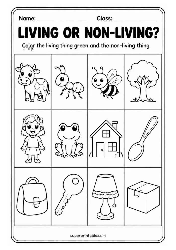 Living or Non Living worksheet with cow, ant, bee, tree, girl, frog, house, spoon, backpack, key, lamp, and box.